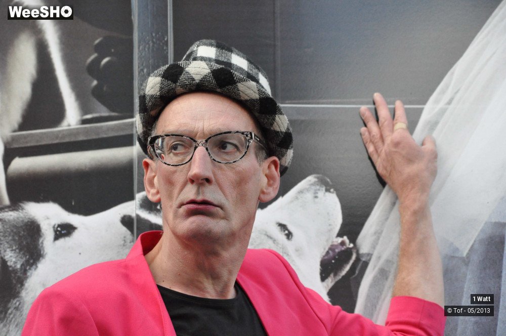 16/50 photos du spectacle Be Claude