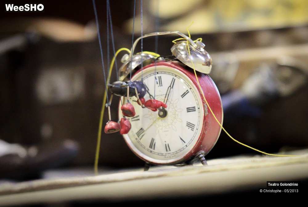 2/47 photos du spectacle Les aventures de Jôjô Golondrini