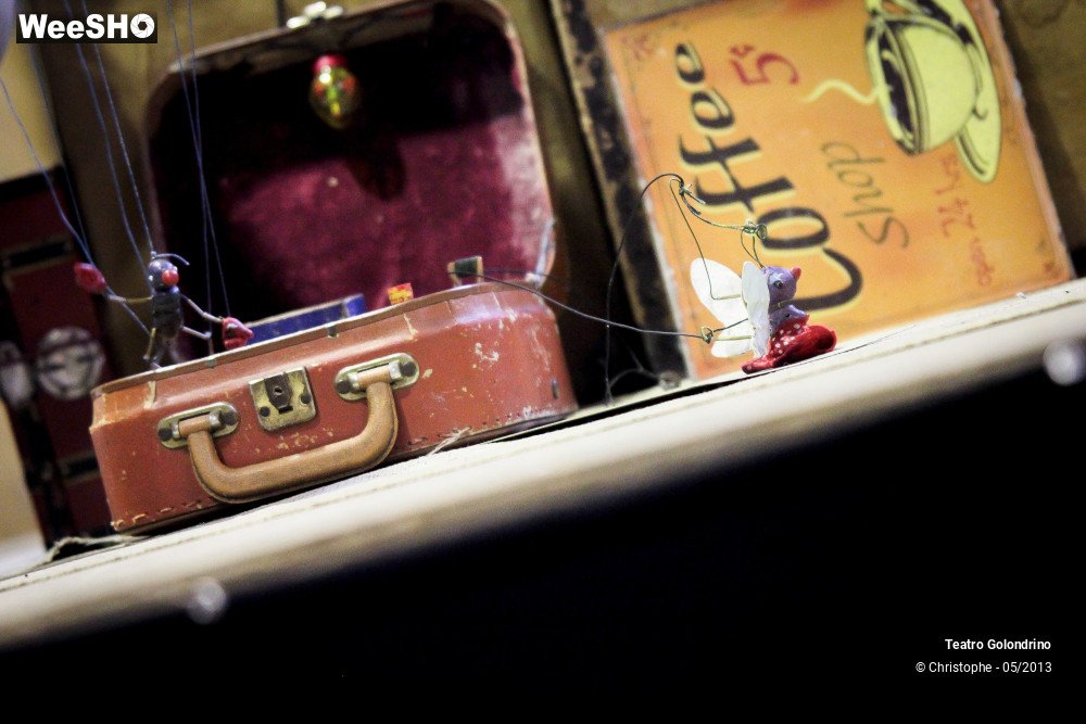 4/47 photos du spectacle Les aventures de Jôjô Golondrini