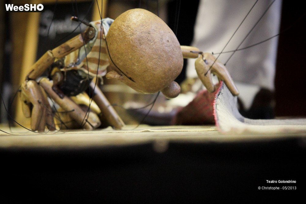 8/47 photos du spectacle Les aventures de Jôjô Golondrini