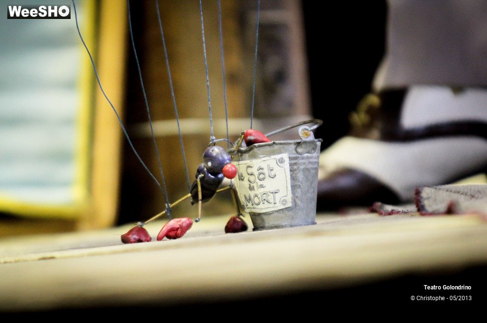 12/47 photos du spectacle Les aventures de Jôjô Golondrini