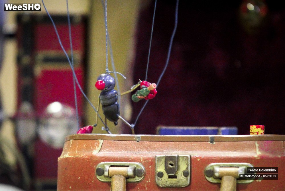 14/47 photos du spectacle Les aventures de Jôjô Golondrini