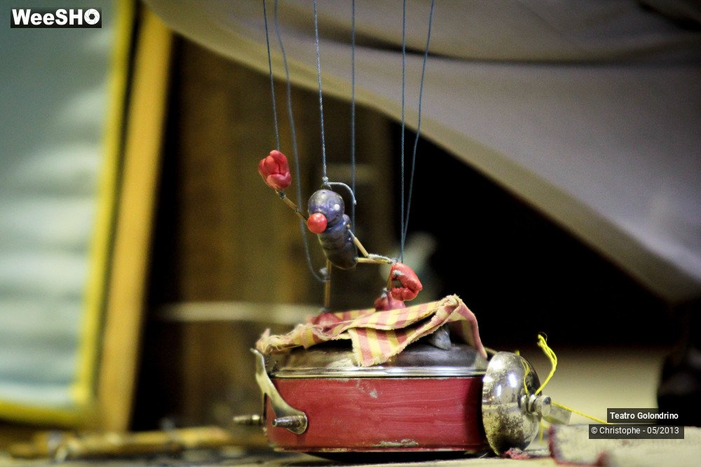 15/47 photos du spectacle Les aventures de Jôjô Golondrini