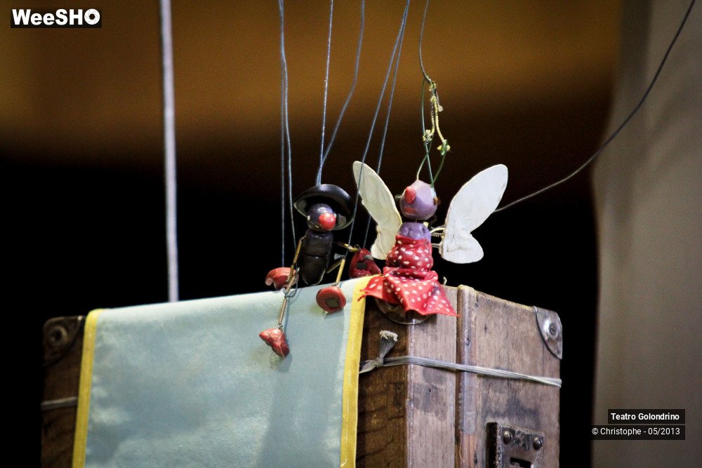 22/47 photos du spectacle Les aventures de Jôjô Golondrini