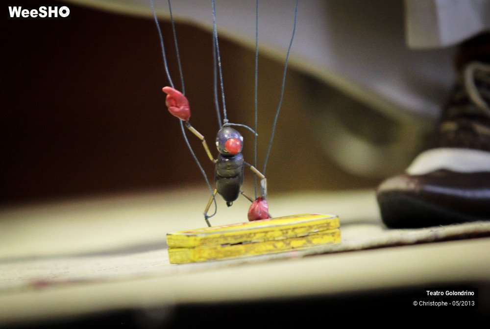 34/47 photos du spectacle Les aventures de Jôjô Golondrini