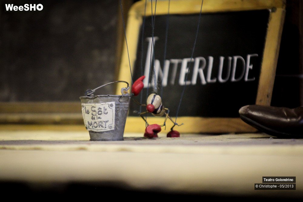 35/47 photos du spectacle Les aventures de Jôjô Golondrini