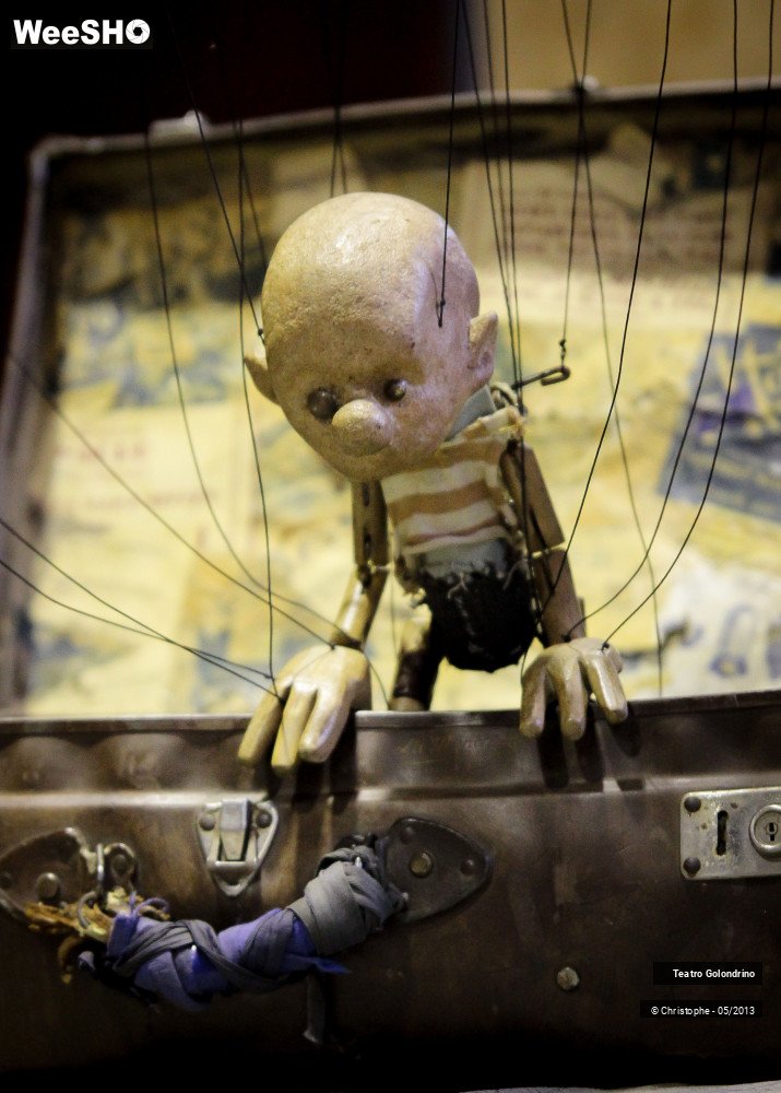 36/47 photos du spectacle Les aventures de Jôjô Golondrini