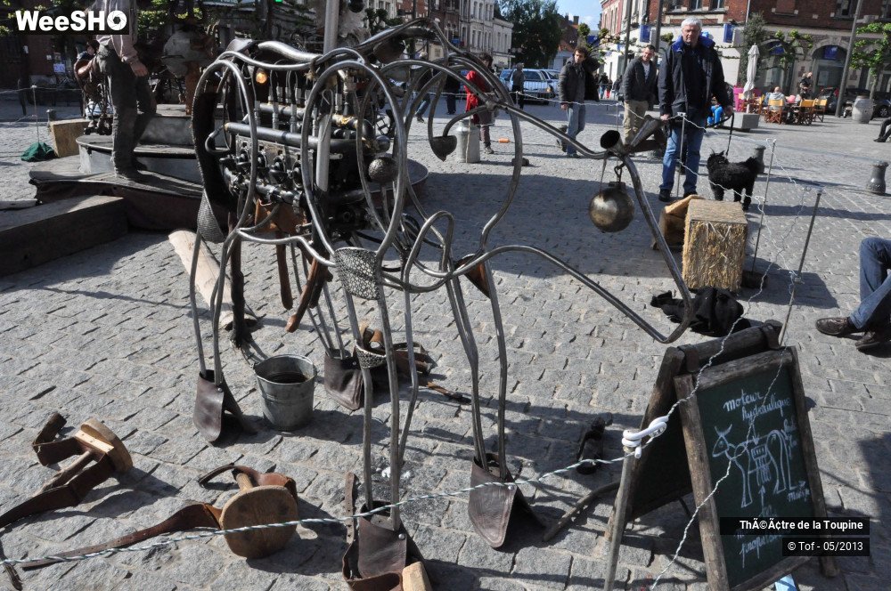 6/33 photos du spectacle Un Vache de manège et son orgameuh