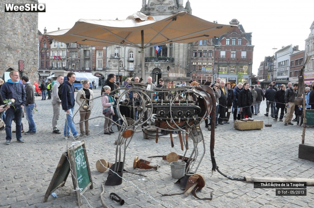 8/33 photos du spectacle Un Vache de manège et son orgameuh