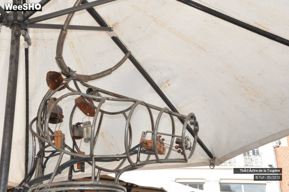 12/33 photos du spectacle Un Vache de manège et son orgameuh