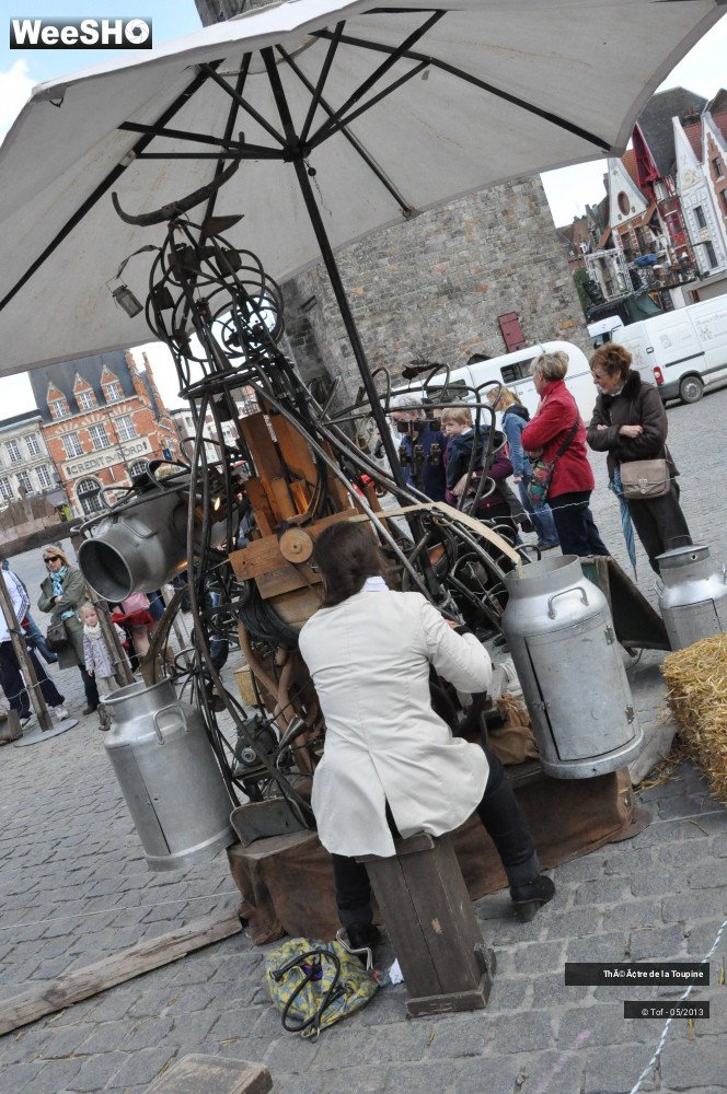 29/33 photos du spectacle Un Vache de manège et son orgameuh