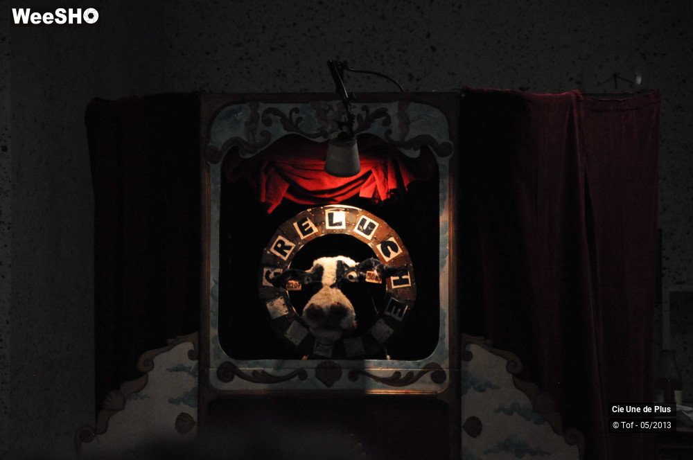 10/32 photos du spectacle Le théâtre de la Greluche