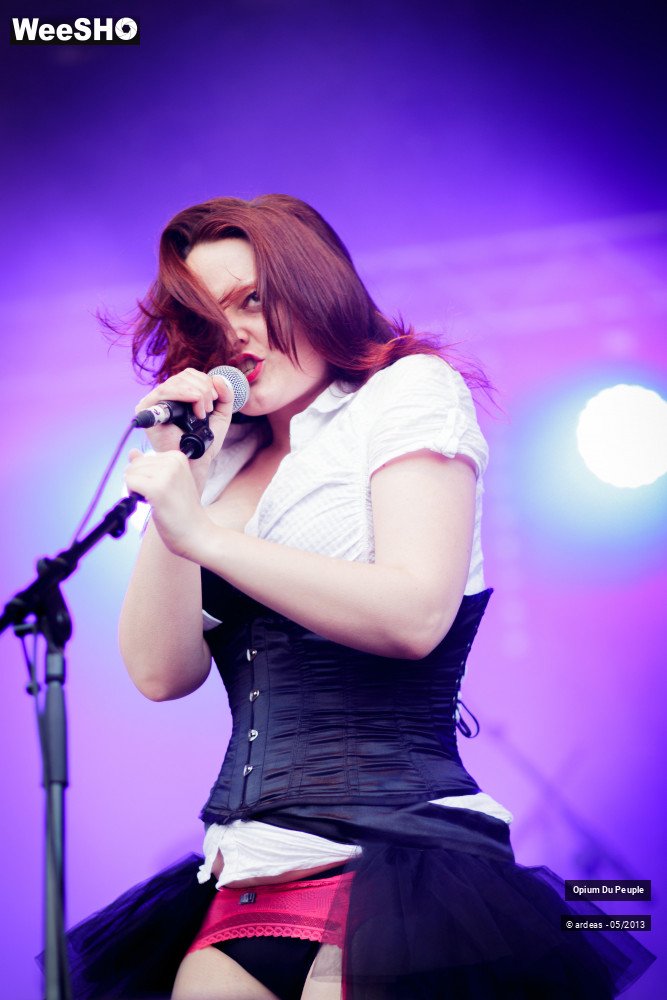 19/46 photos du spectacle Opium du peuple