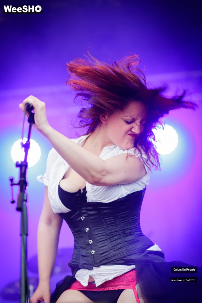 46/46 photos du spectacle Opium du peuple