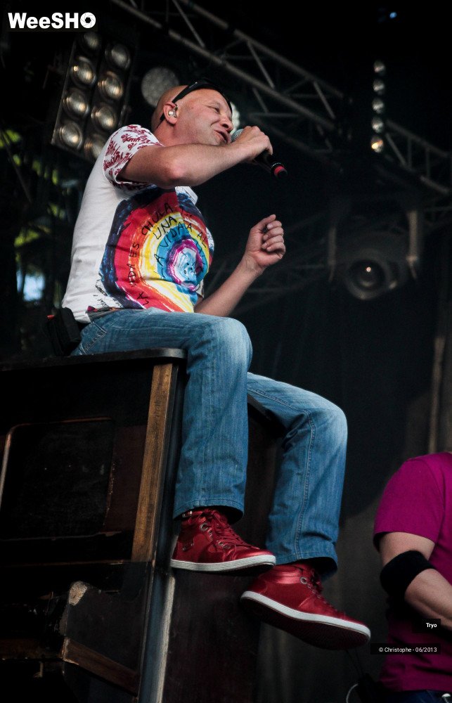 31/45 photos du spectacle Tryo
