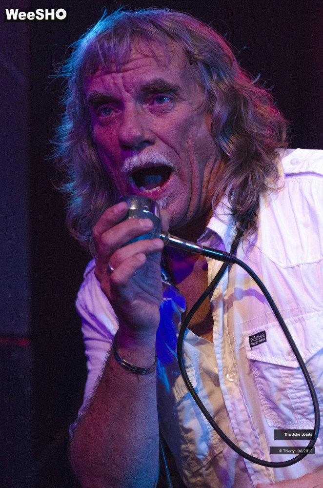 45/50 photos du spectacle The Juke Joints