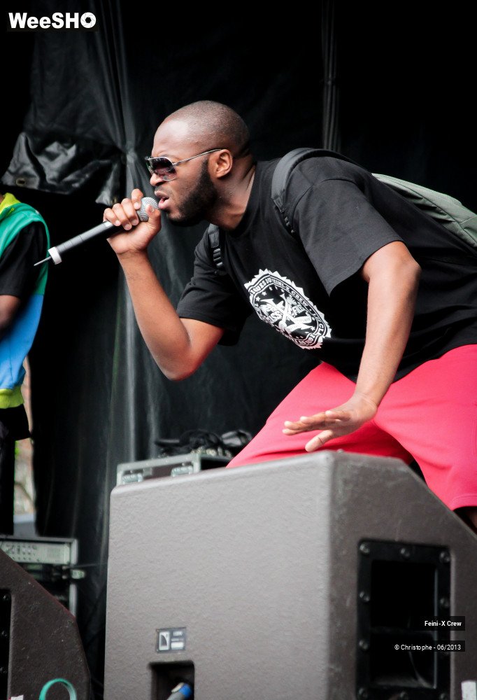 24/50 photos du spectacle Feini'x crew