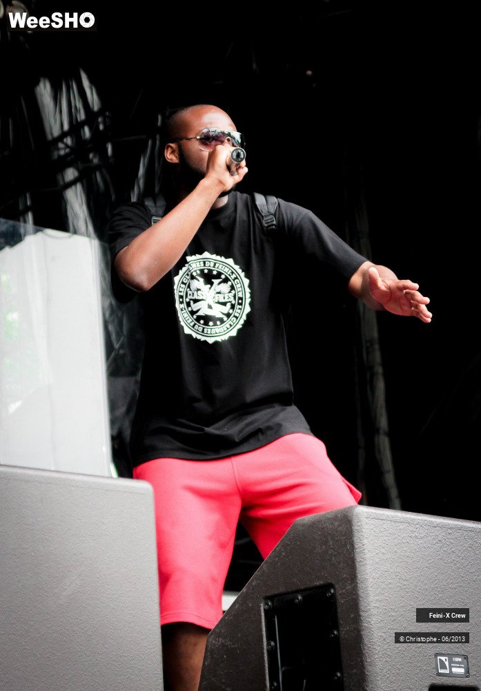 30/50 photos du spectacle Feini'x crew