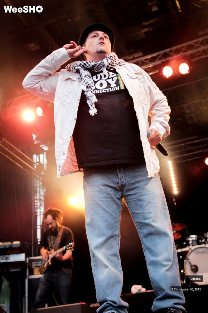 23/41 photos du spectacle Dub Inc