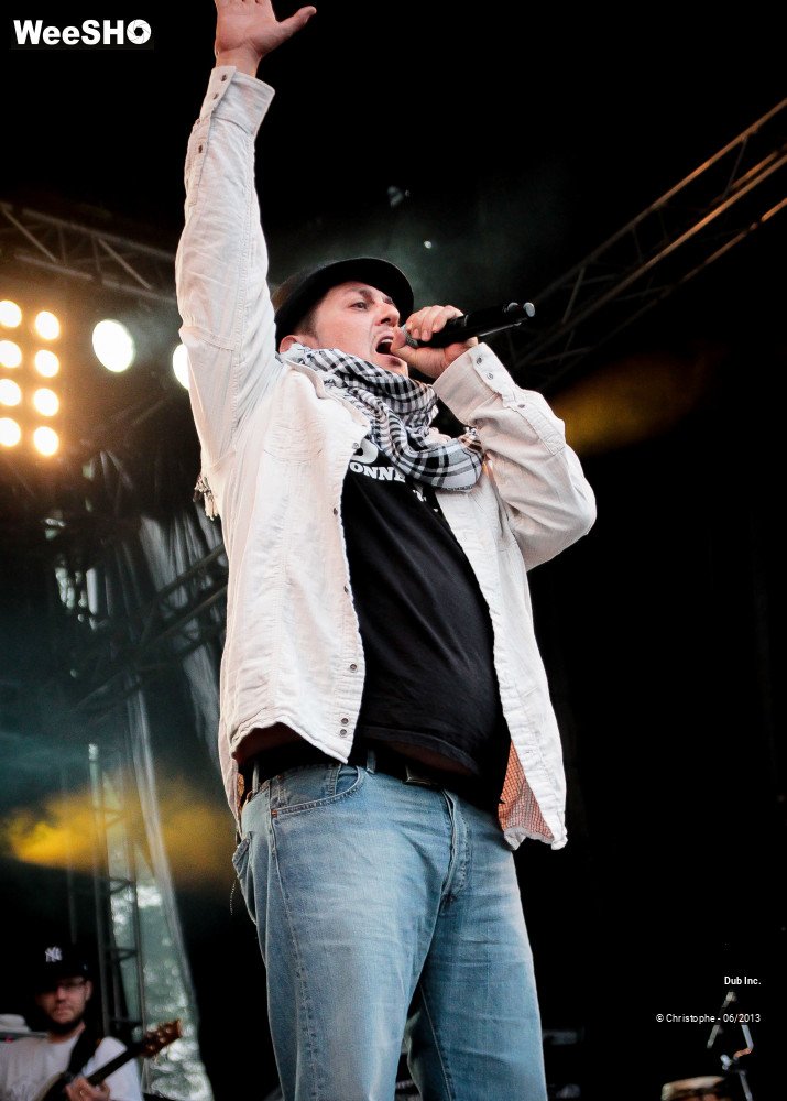 29/41 photos du spectacle Dub Inc