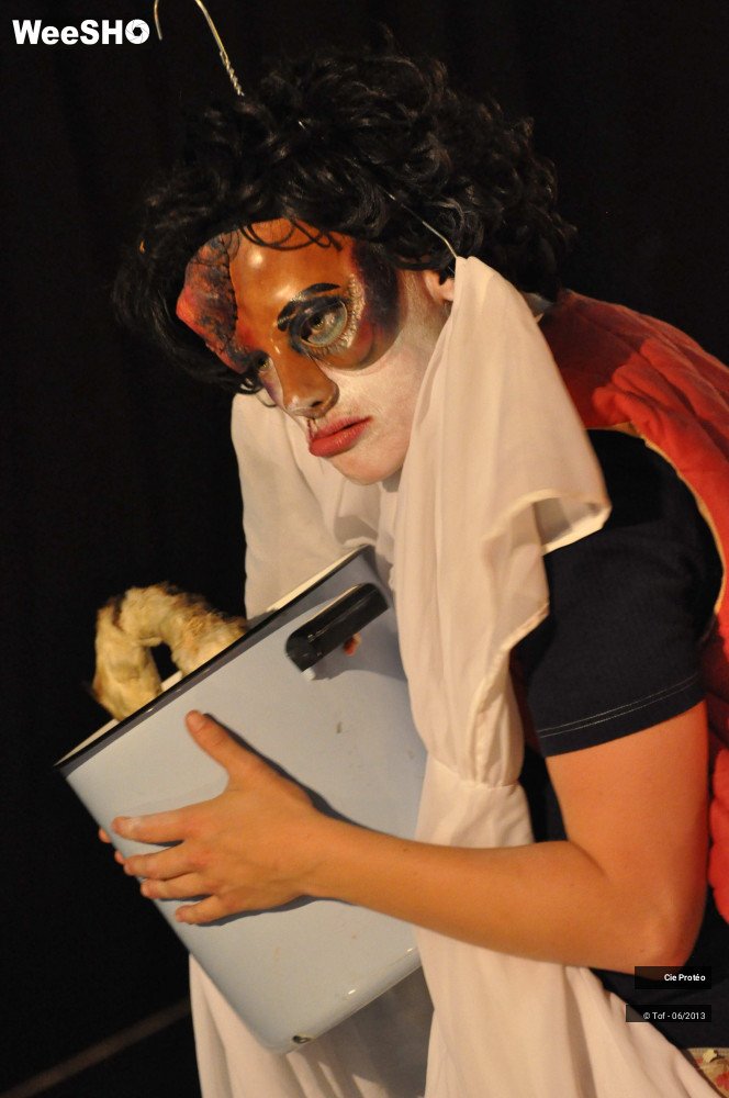 24/26 photos du spectacle Carmen Carmen