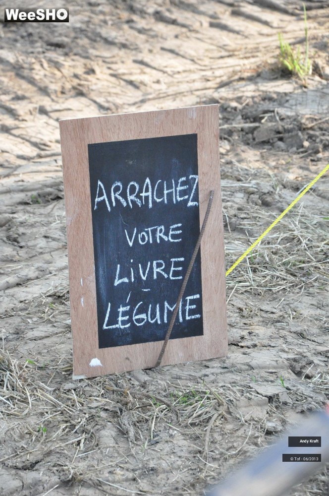 14/17 photos du spectacle La Livrerie de jardin