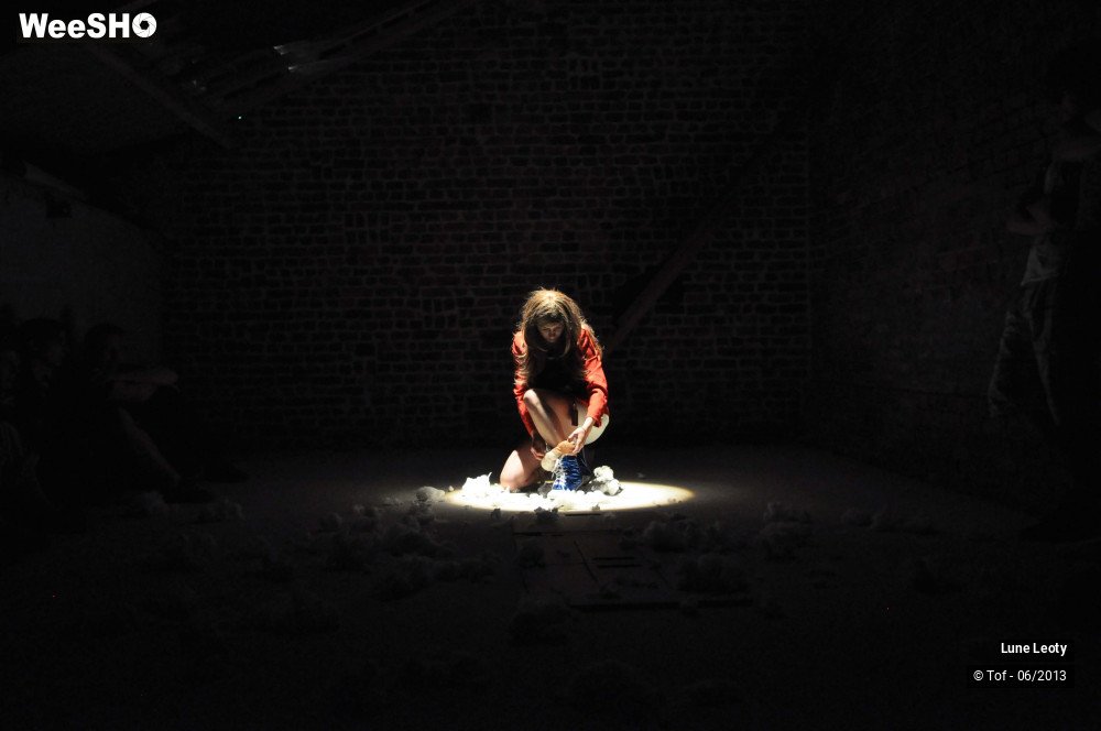 8/21 photos du spectacle Votez pour moi