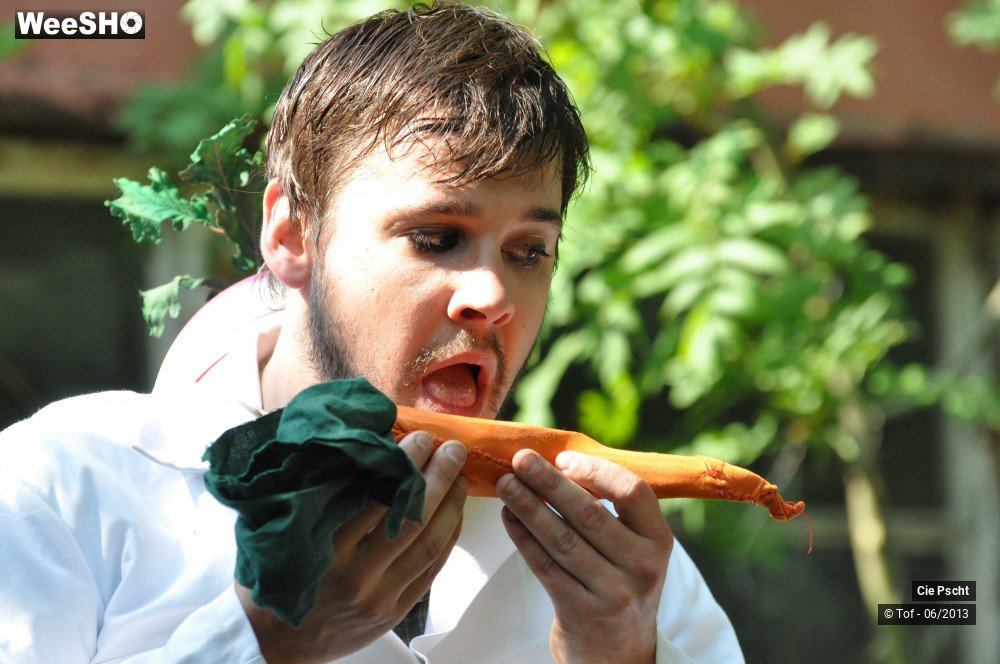 15/30 photos du spectacle Tais-toi, et mange !