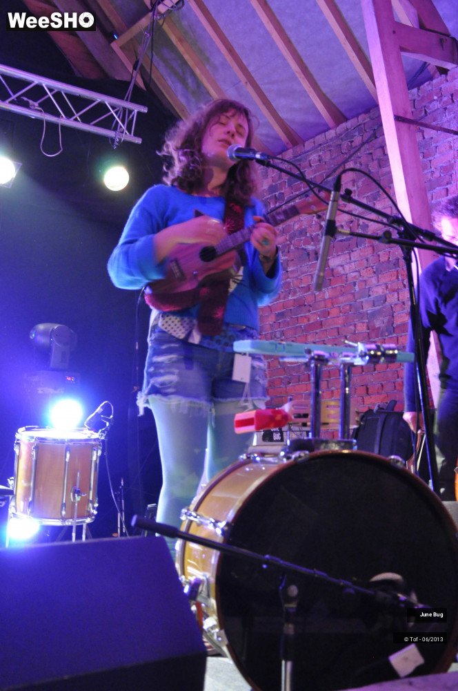 17/22 photos du spectacle June Bug & the Storytellers