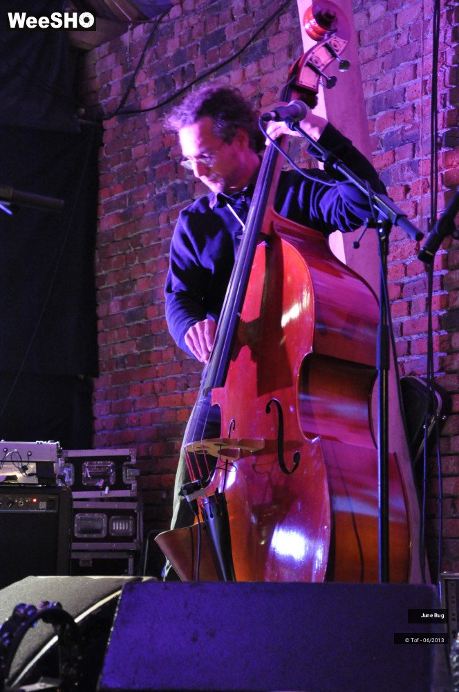 20/22 photos du spectacle June Bug & the Storytellers