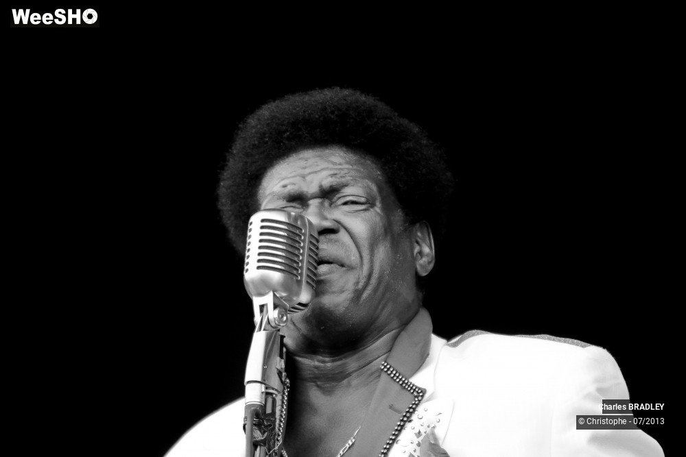 5/34 photos du spectacle Charles Bradley