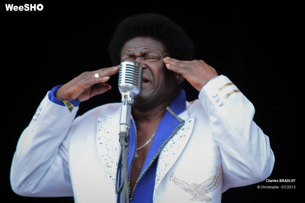 7/34 photos du spectacle Charles Bradley