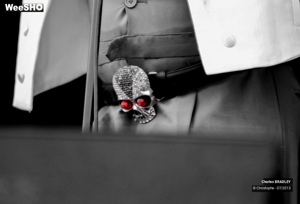 11/34 photos du spectacle Charles Bradley