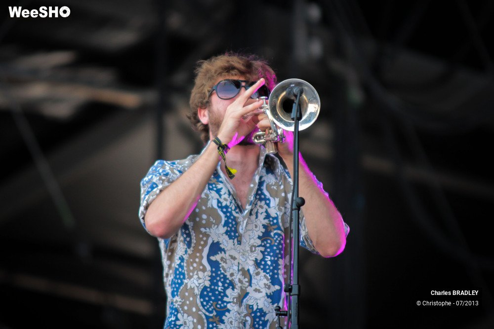 13/34 photos du spectacle Charles Bradley