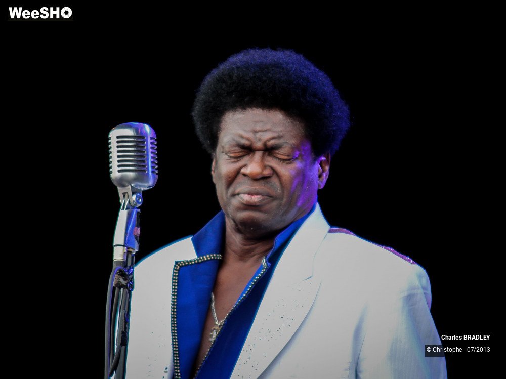 16/34 photos du spectacle Charles Bradley