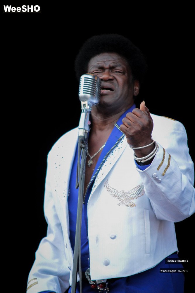 17/34 photos du spectacle Charles Bradley