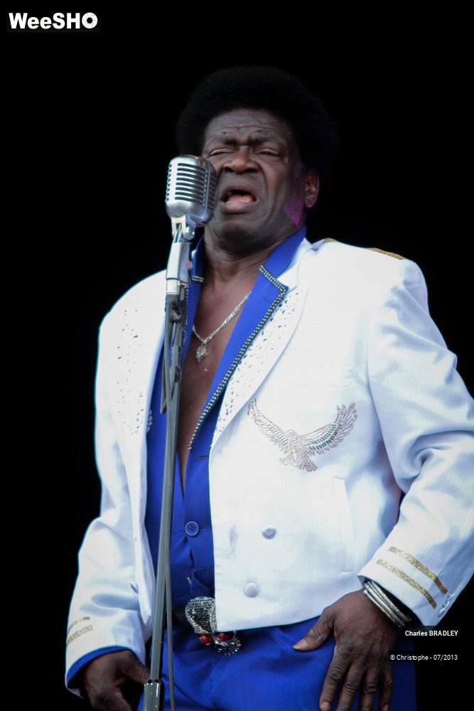 20/34 photos du spectacle Charles Bradley