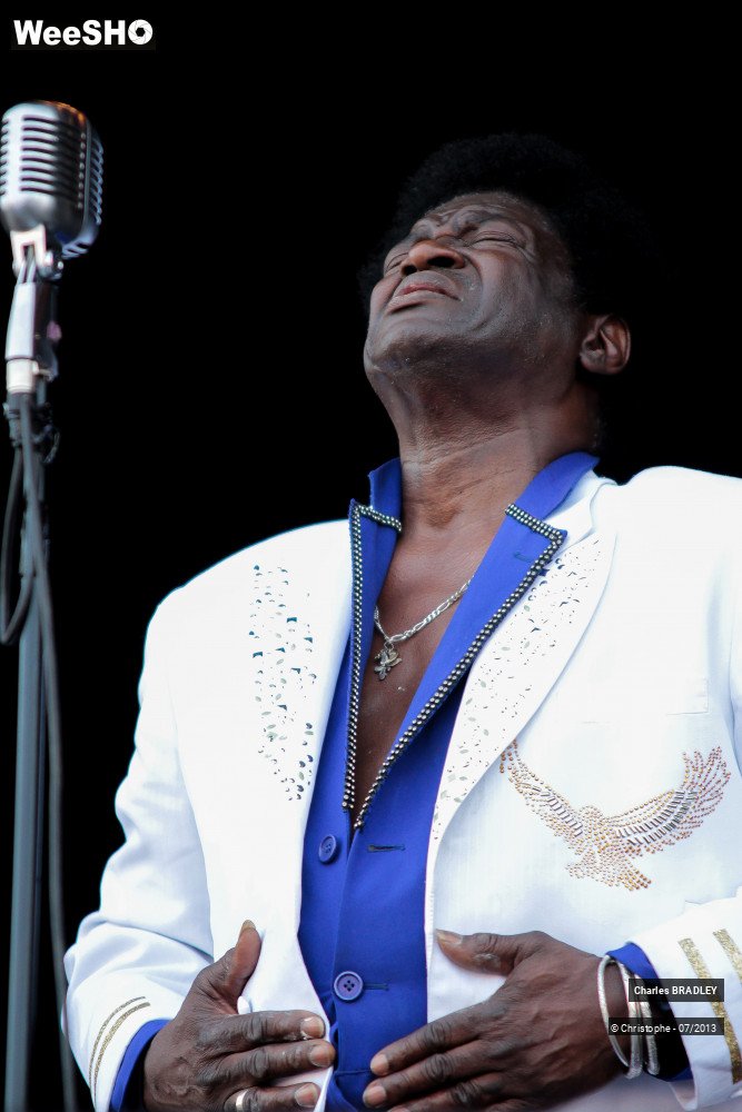 21/34 photos du spectacle Charles Bradley