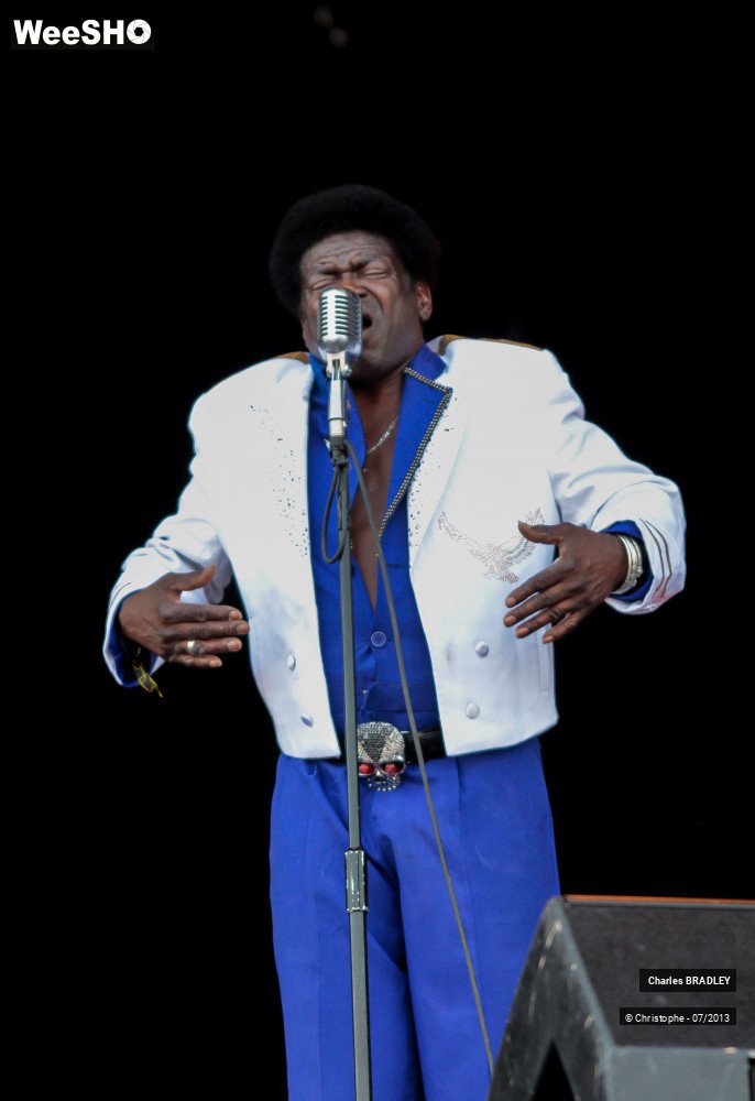 24/34 photos du spectacle Charles Bradley