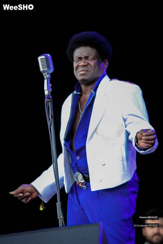 27/34 photos du spectacle Charles Bradley