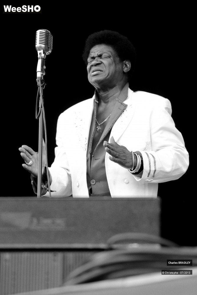 28/34 photos du spectacle Charles Bradley