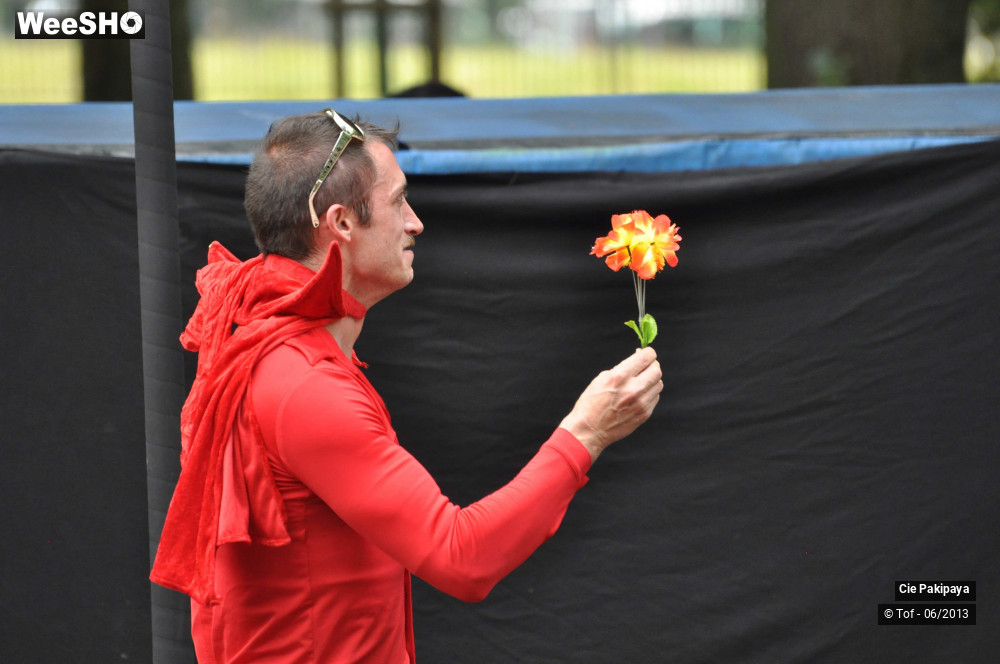 4/49 photos du spectacle Shake Shake Shake