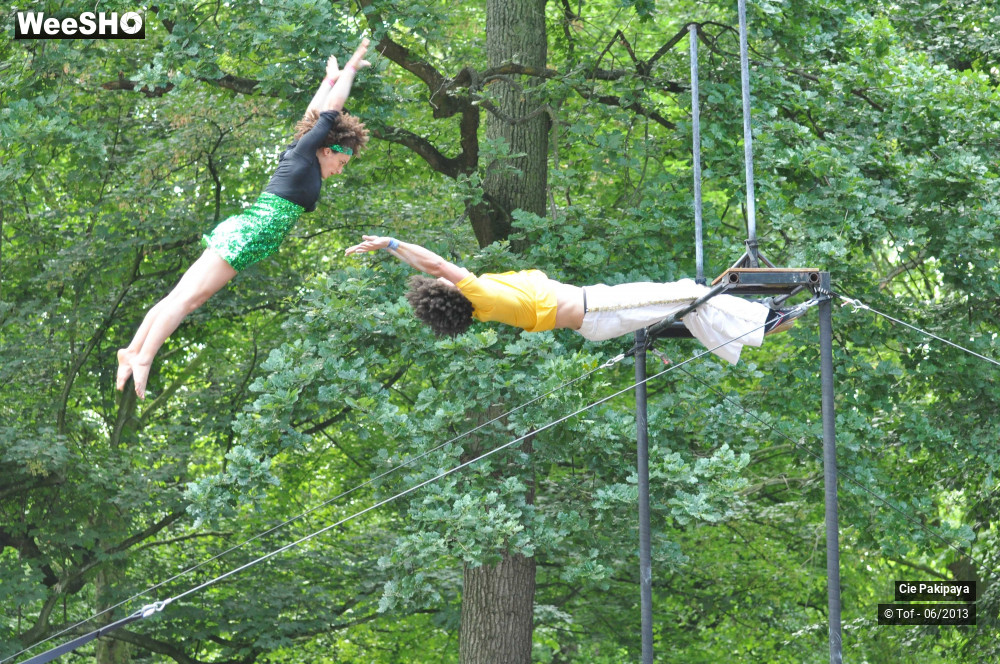 9/49 photos du spectacle Shake Shake Shake