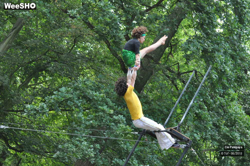 10/49 photos du spectacle Shake Shake Shake