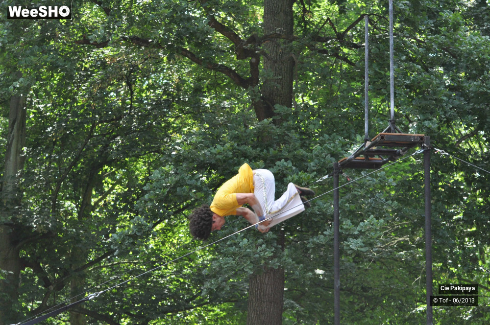 11/49 photos du spectacle Shake Shake Shake