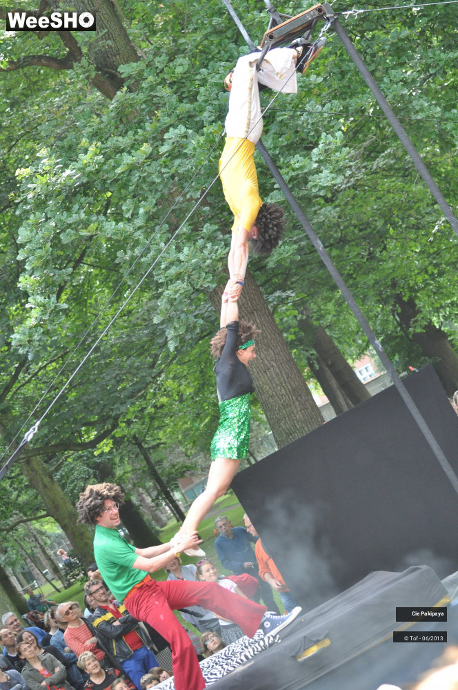 31/49 photos du spectacle Shake Shake Shake