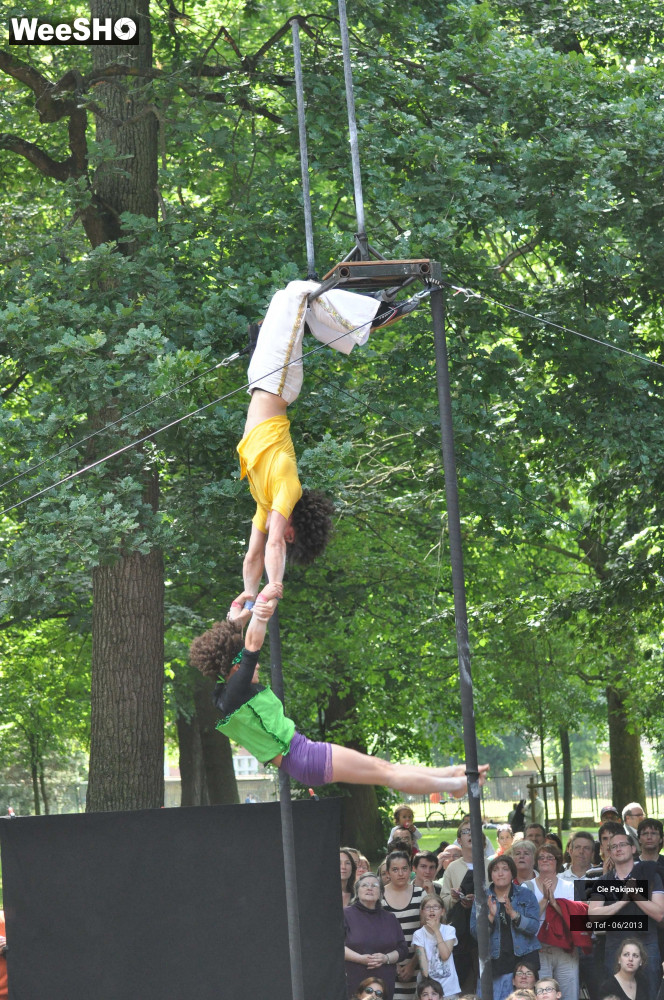 38/49 photos du spectacle Shake Shake Shake