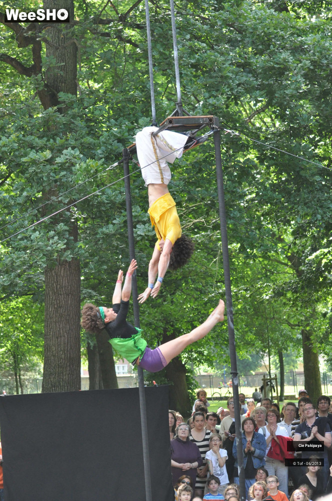 39/49 photos du spectacle Shake Shake Shake