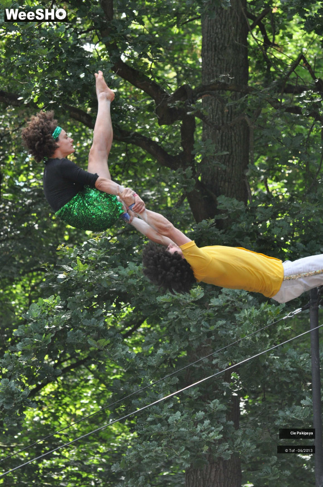 40/49 photos du spectacle Shake Shake Shake