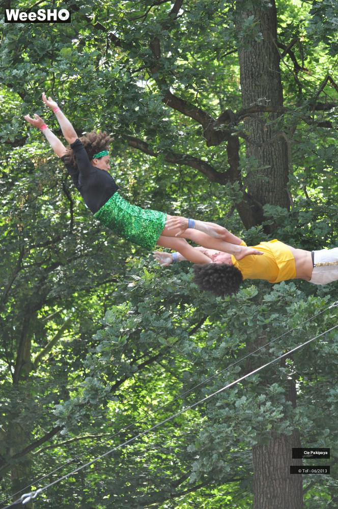 41/49 photos du spectacle Shake Shake Shake